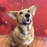 Entry image for Charm