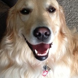 Entry image for Bailey