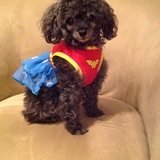 Entry image for Sophie