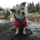 Entry image for Vonn