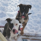 Entry image for Jade and Rhea