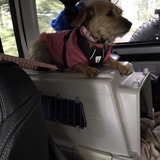 Entry image for Bella 