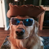 Entry image for Tucker