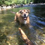 Entry image for Gorgeous George