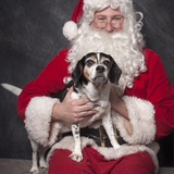 Entry image for Buddy