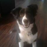 Entry image for Jewel