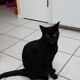 Entry image for Sprout 