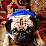 Entry image for Hudson 