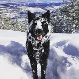 Entry image for Wendell