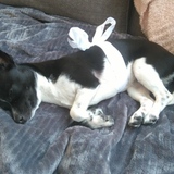 Entry image for Maybelline