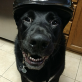 Entry image for Nero 