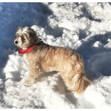 Entry image for Sushi 