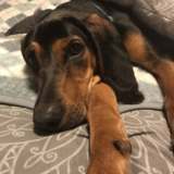 Entry image for Farley 