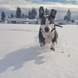 Entry image for Marcie