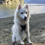 Entry image for Chevy