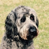 Entry image for Lukas