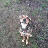 Entry image for Luna