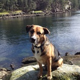 Entry image for Culligan 