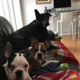 Entry image for Lana, Mika, Rosco