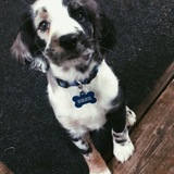 Entry image for Benz