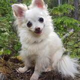 Entry image for Tiegan