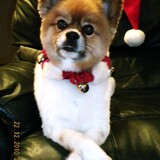 Entry image for Brew