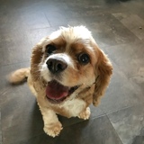 Entry image for Tucker