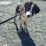 Entry image for Storm