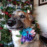 Entry image for Ellie Mae