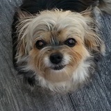 Entry image for Maggie 