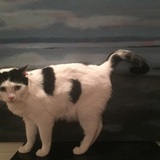 Entry image for Emmie 