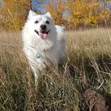 Entry image for Hero