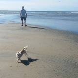 Entry image for L-uh