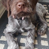 Entry image for Daisy