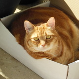 Entry image for Miles