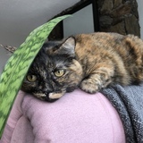 Entry image for Ellie Mae