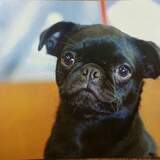 Entry image for Beans