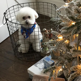 Entry image for Jack