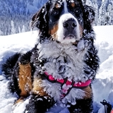 Entry image for Chloe