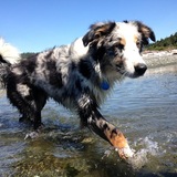 Entry image for Errol