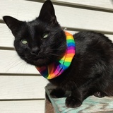 Entry image for Salem