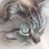 Entry image for Kizzy