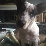 Entry image for Seven