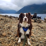 Entry image for Owen