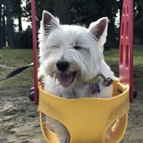 Entry image for Rory