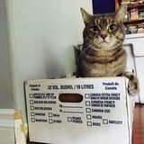 Entry image for Ezra