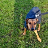 Entry image for Bella