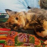 Entry image for Marble