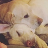 Entry image for Maddie / Mya