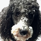 Entry image for Quinn